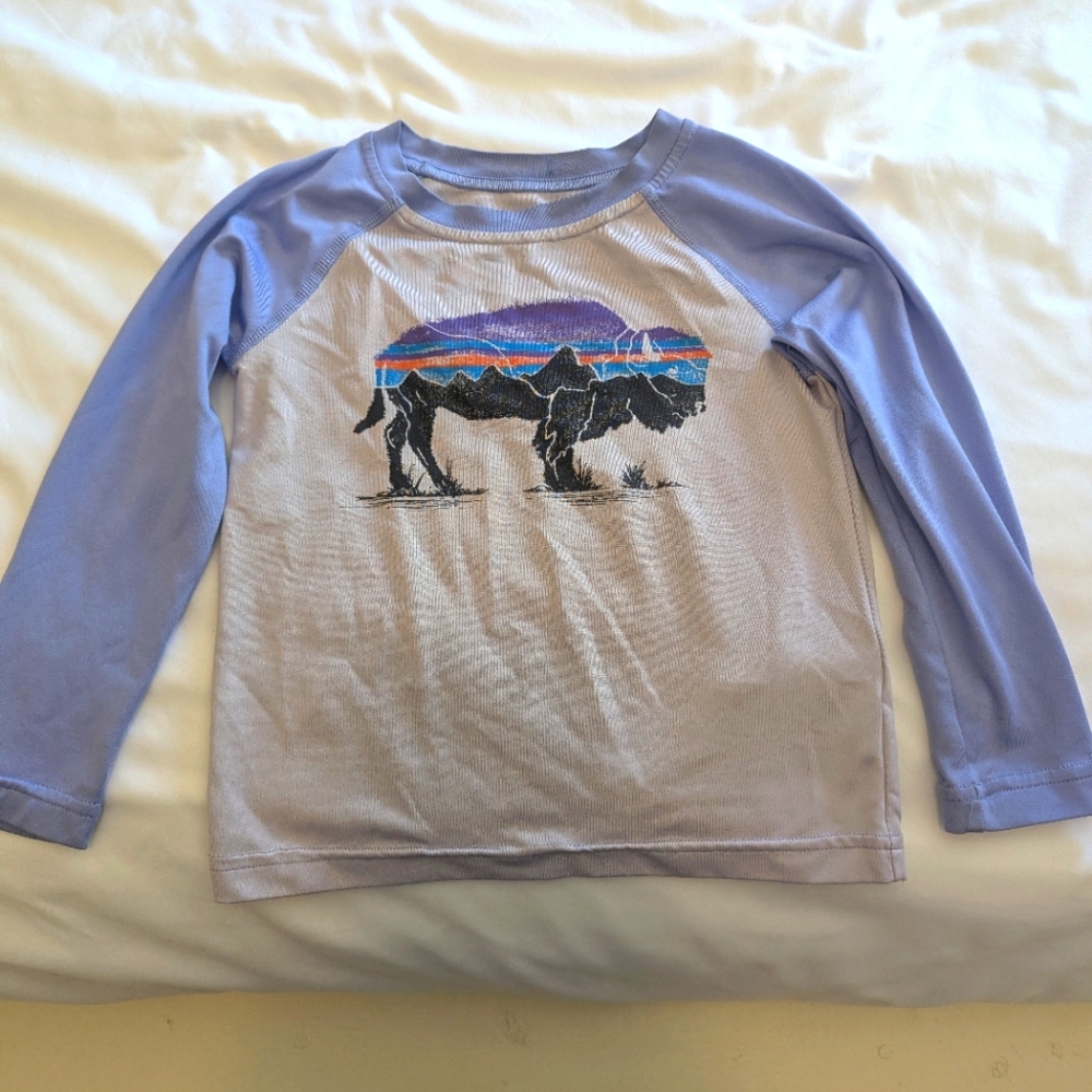 Patagonia Capilene Silkweight Daily Long sleeve Graphic 2T Purple Shirt